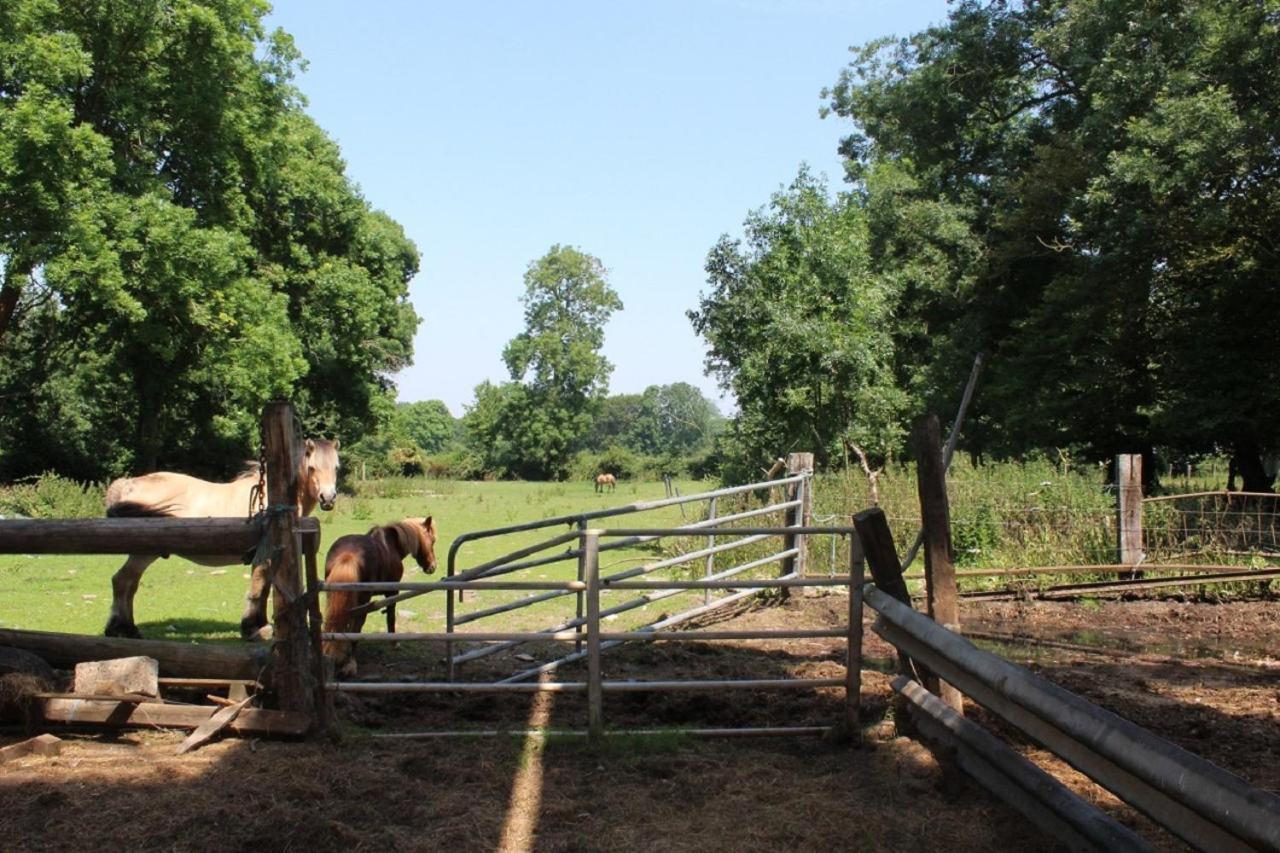 Vila La Ferme De La Croix Saint-Quentin-Lamotte-Croix-au-Bailly Exteriér fotografie