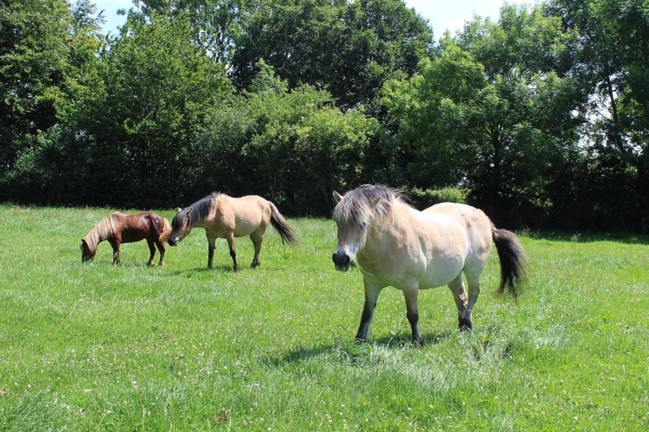 Vila La Ferme De La Croix Saint-Quentin-Lamotte-Croix-au-Bailly Exteriér fotografie