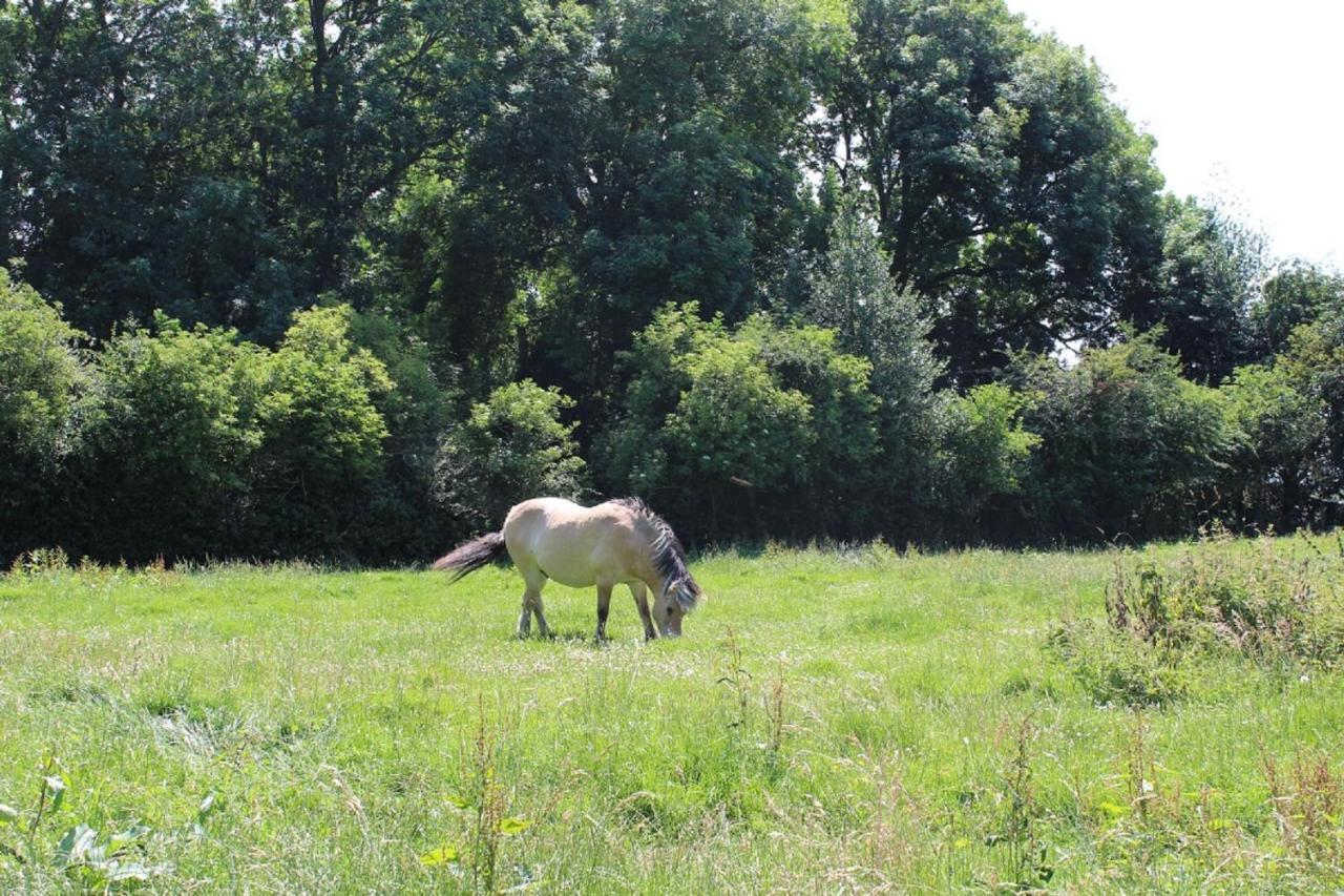 Vila La Ferme De La Croix Saint-Quentin-Lamotte-Croix-au-Bailly Exteriér fotografie