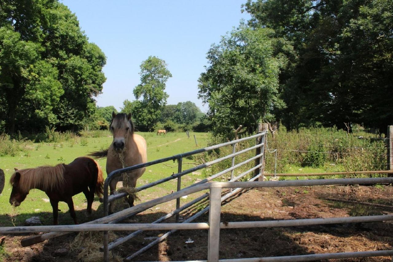 Vila La Ferme De La Croix Saint-Quentin-Lamotte-Croix-au-Bailly Exteriér fotografie